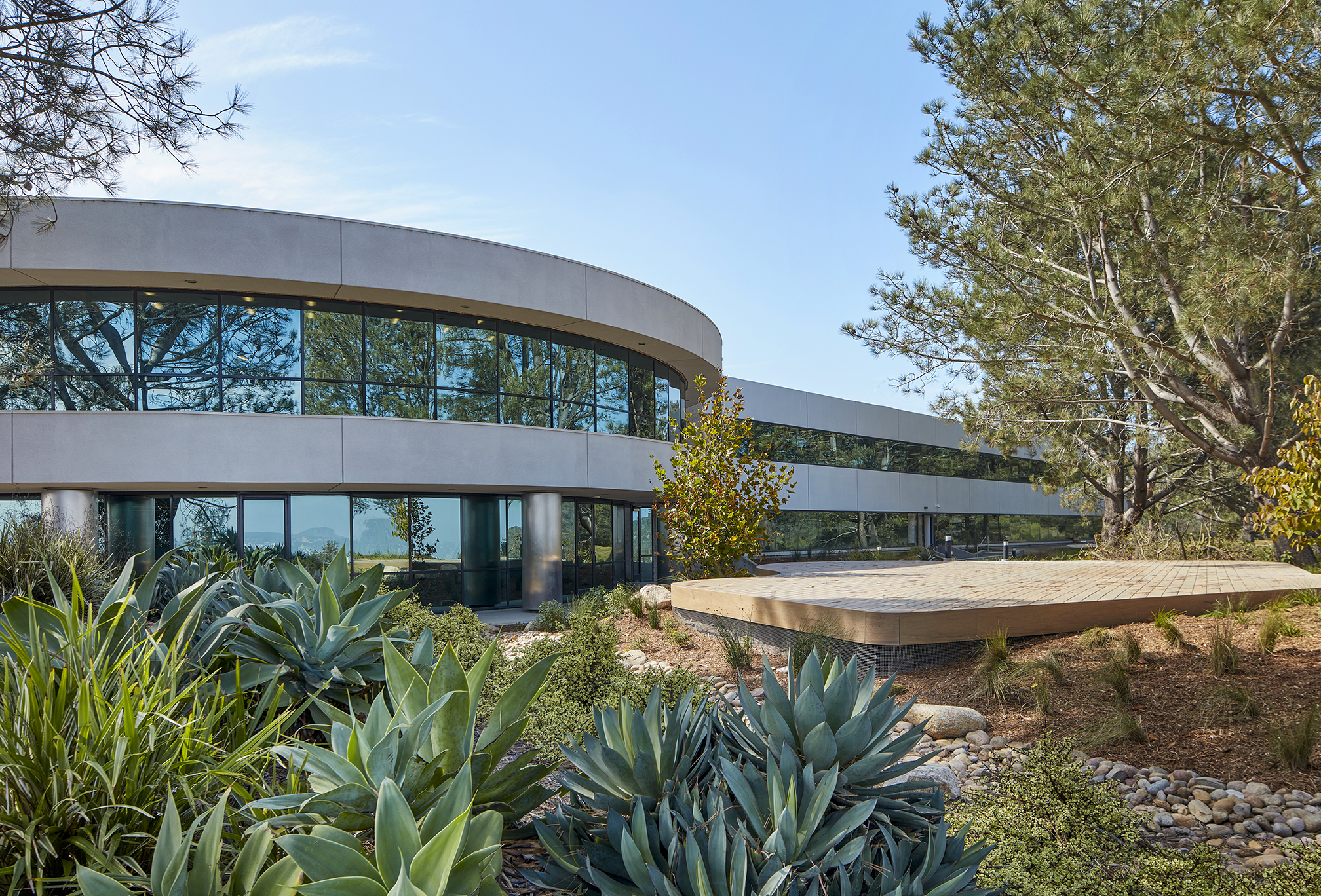 a large, empty deck outside of a curved office building with green plants on one side and trees on the other